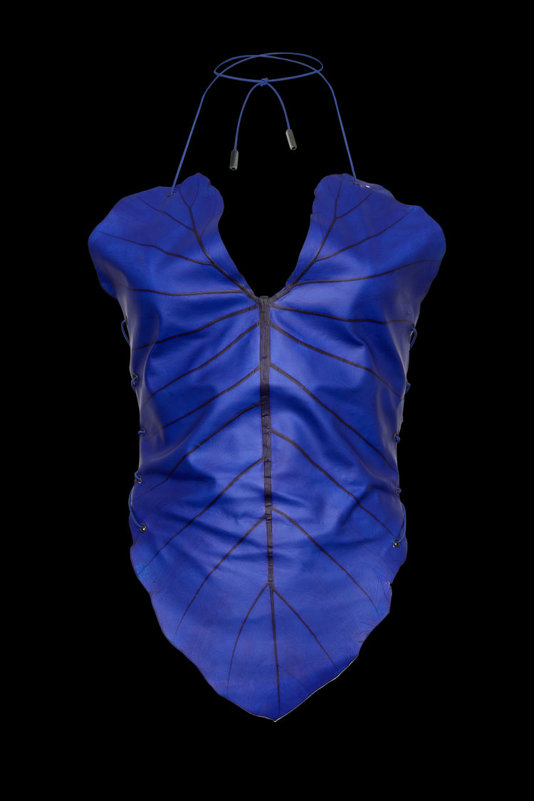 Be-Leaf in you Top Blue - Sarah Regensburger