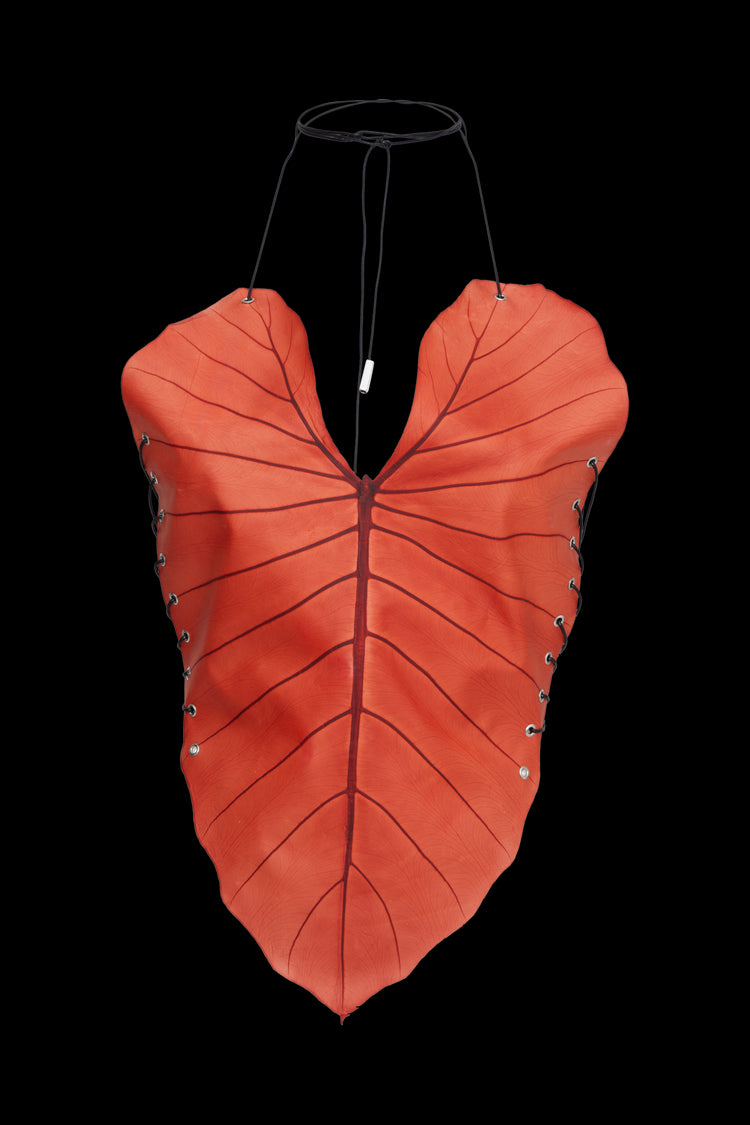 Be-Leaf in you Top Orange - Sarah Regensburger