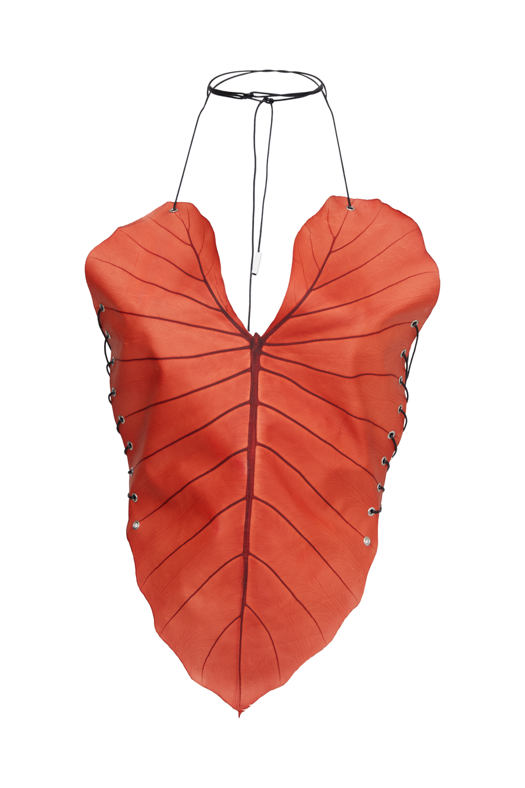 Be-Leaf in you Top Orange - Sarah Regensburger