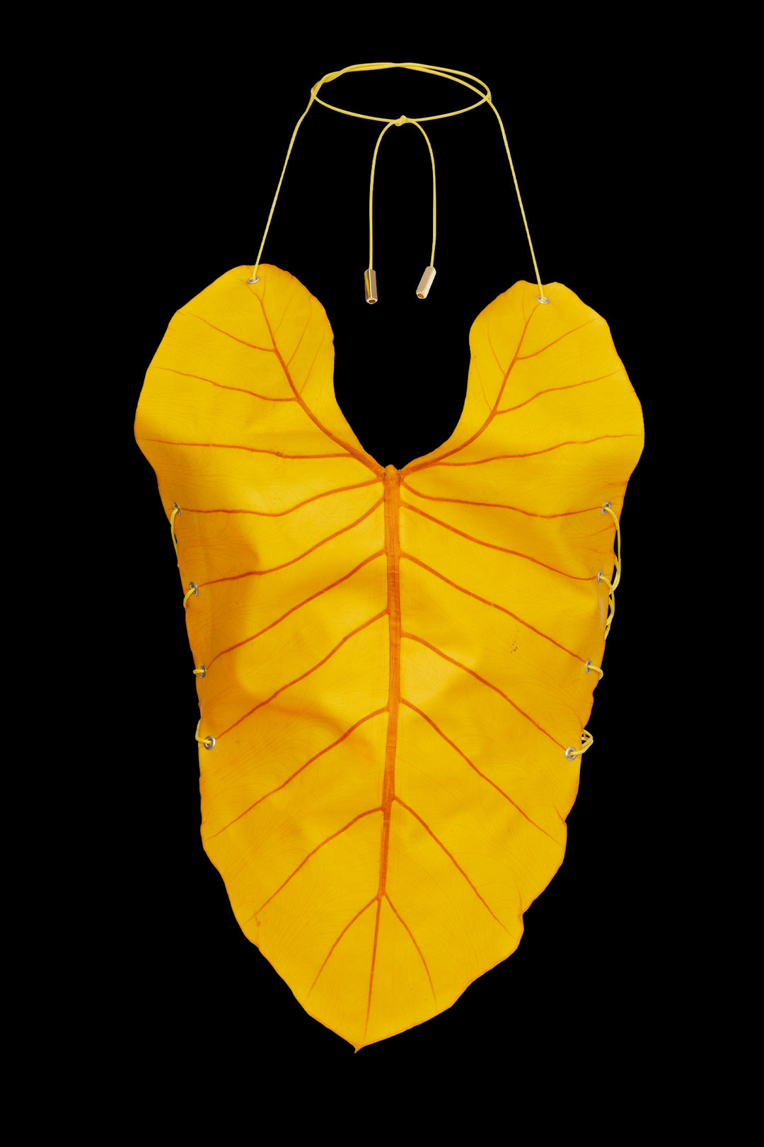 Be-Leaf in you Top Yellow - Sarah Regensburger