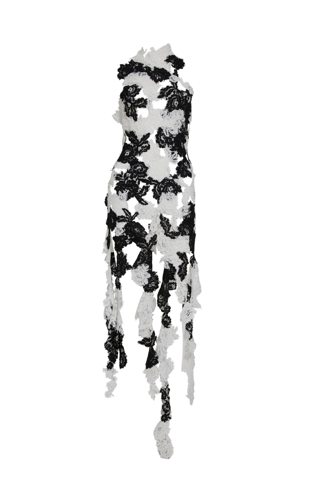 Duality Lace Dress - Sarah Regensburger