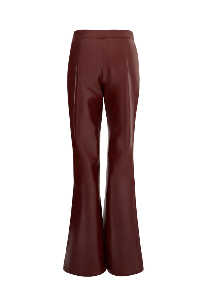 I am Cactus Pant - Sarah Regensburger