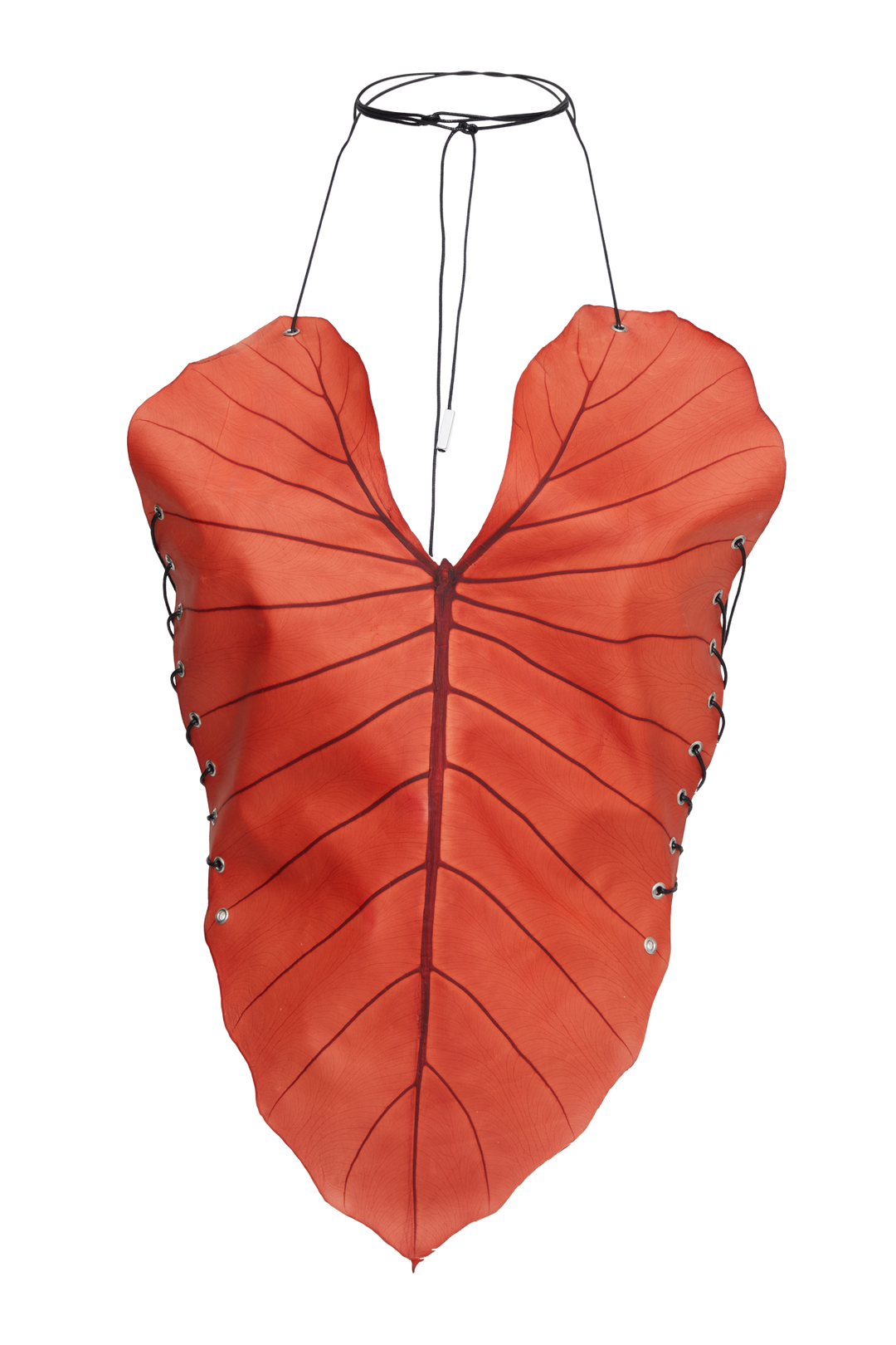Be-Leaf in you Top Orange - Sarah Regensburger