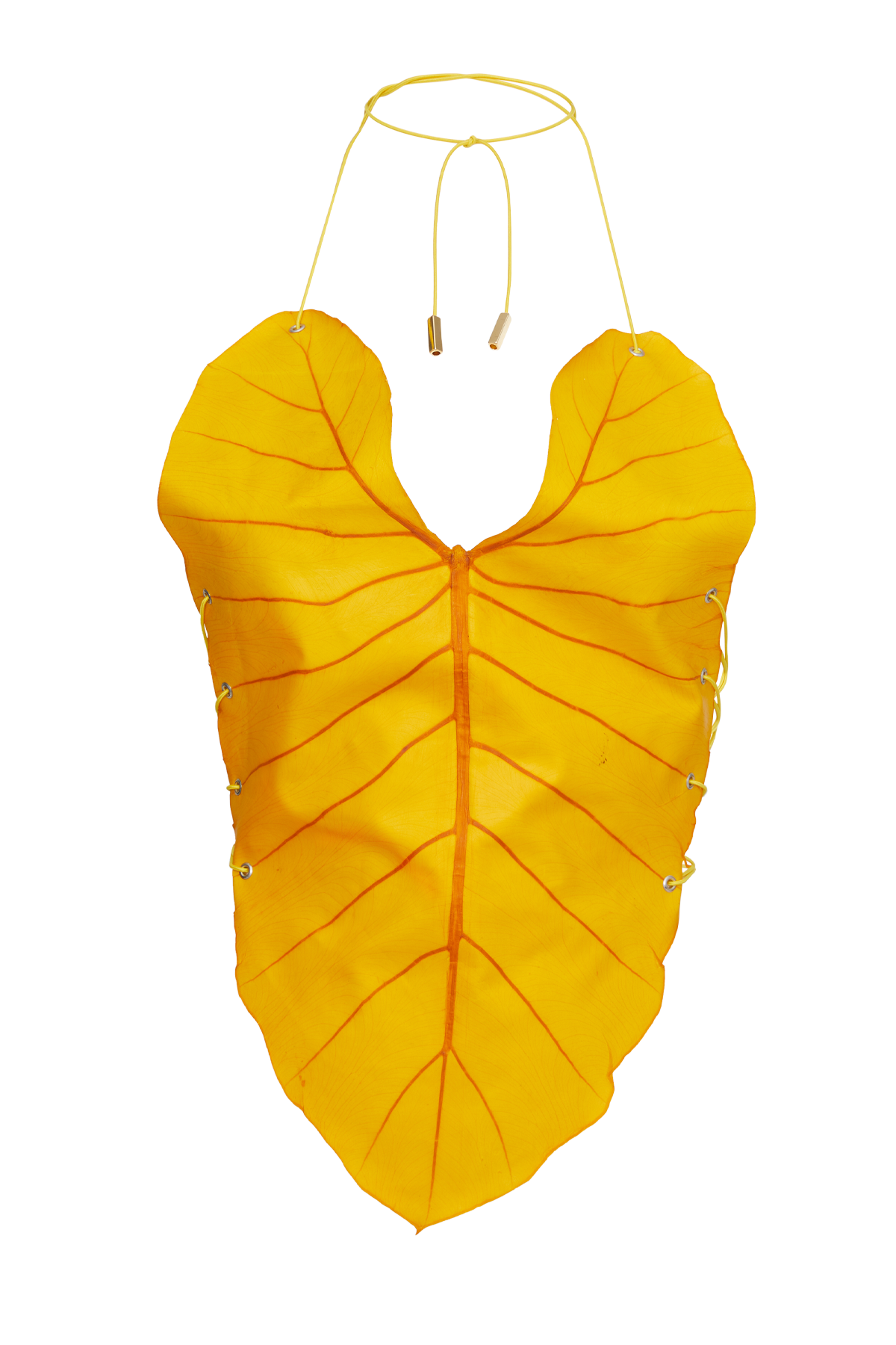 Be-Leaf in you Top Yellow - Sarah Regensburger